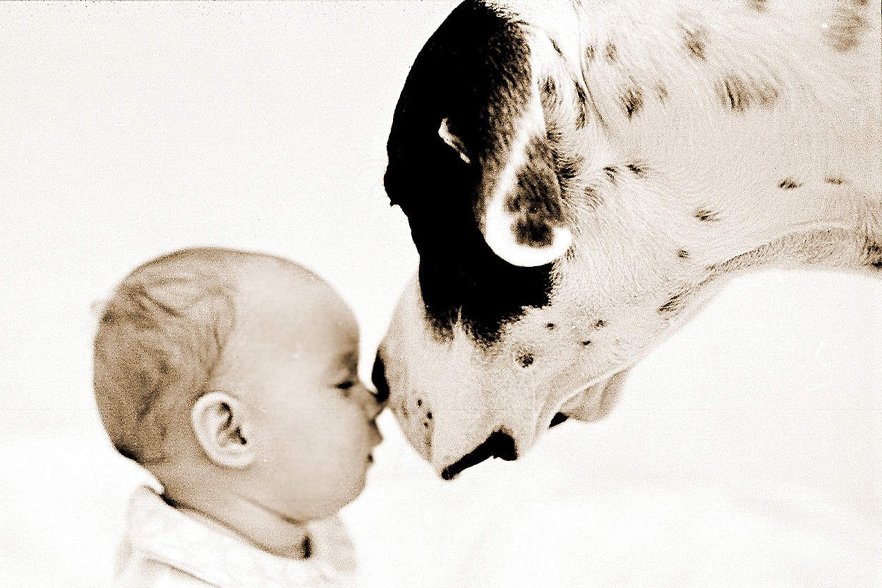 sesja zdjęciowa niemowlaka