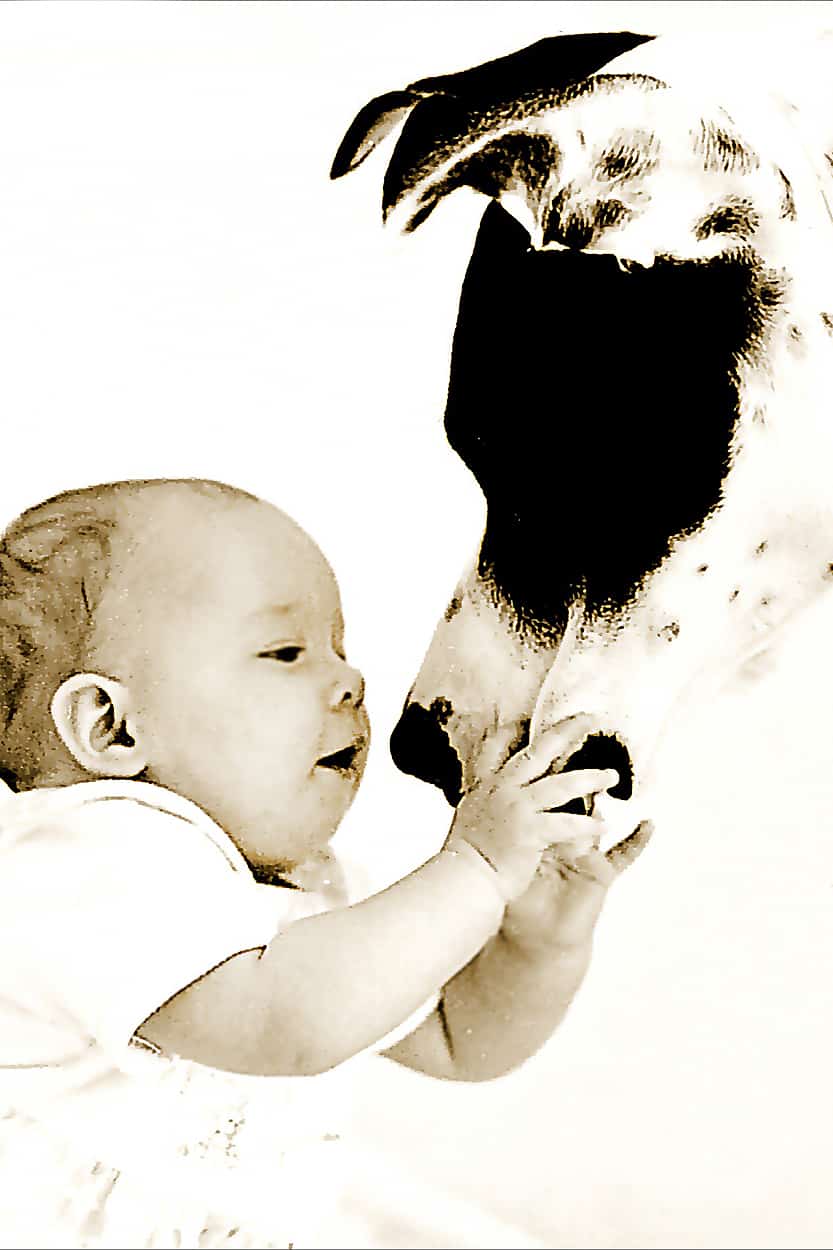 zabawa niemowlaka z psem na sesji zdjęciowej